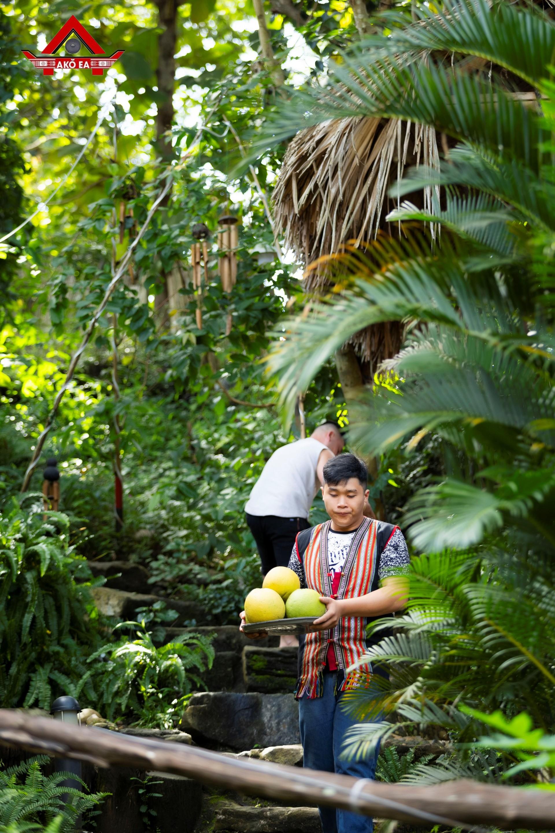 Nhơn PhanIMG 7172