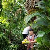 Nhon-PhanIMG_71728a8780e60968189d