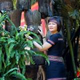 Nhon-PhanIMG_7296ebd0ffdd8540974b