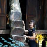 Nhon-PhanIMG_7331f97936ad34dea05a