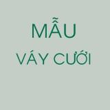 MAU-VAY-CUOI2235681058aa7207