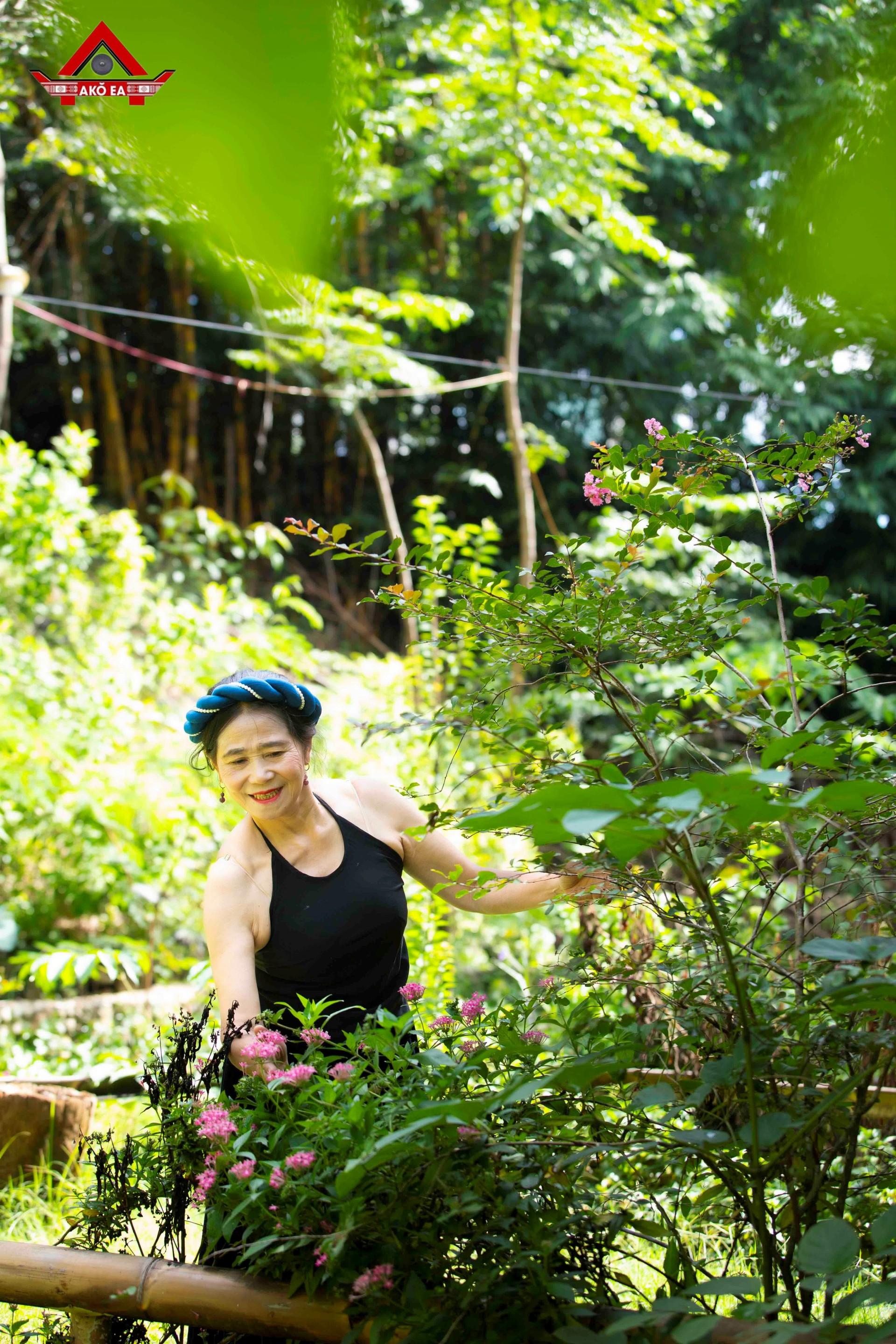 Nhơn PhanIMG 0443