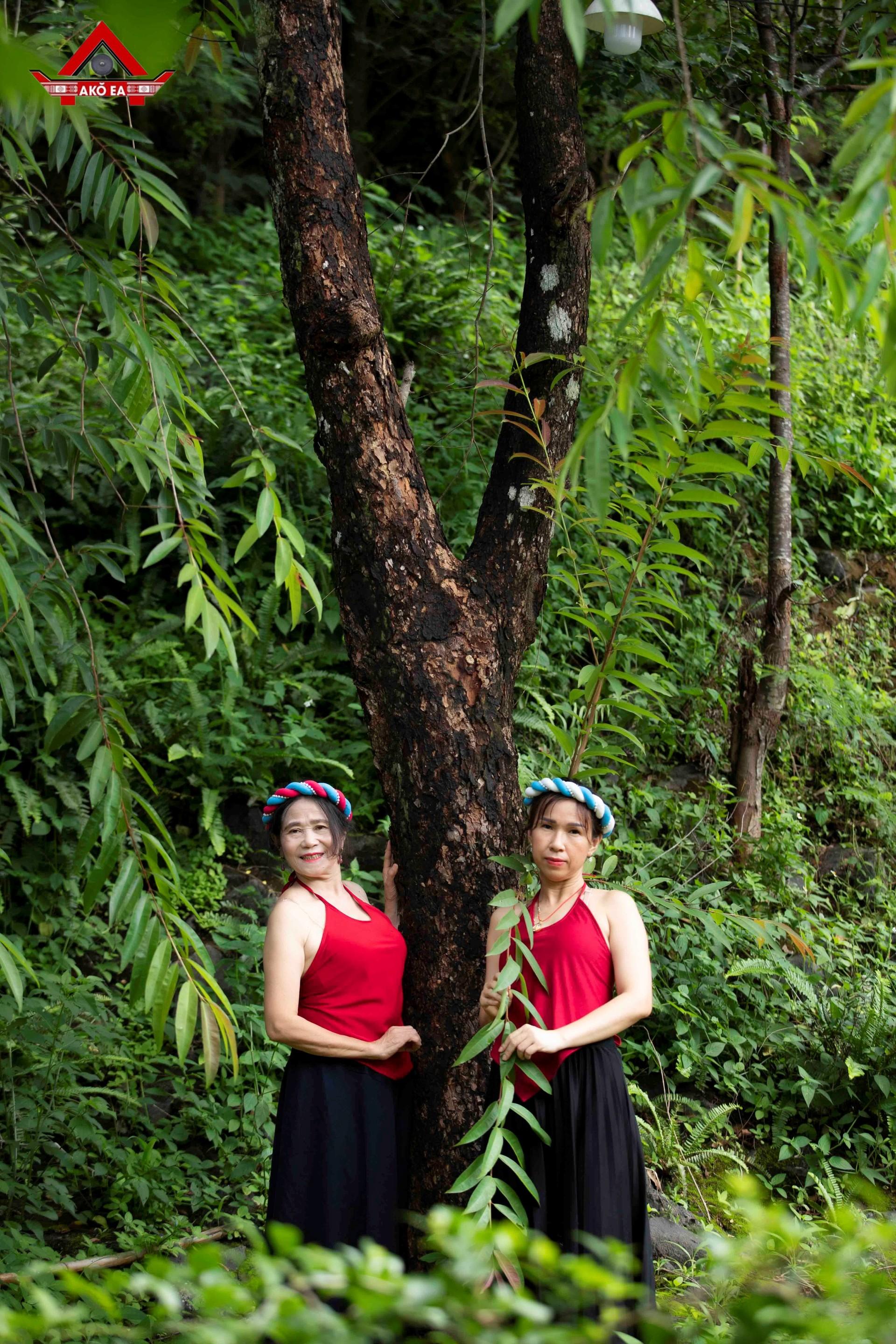 Nhơn PhanIMG 0468