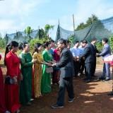 Thuc--Lan_005221e78b40bdcdf430