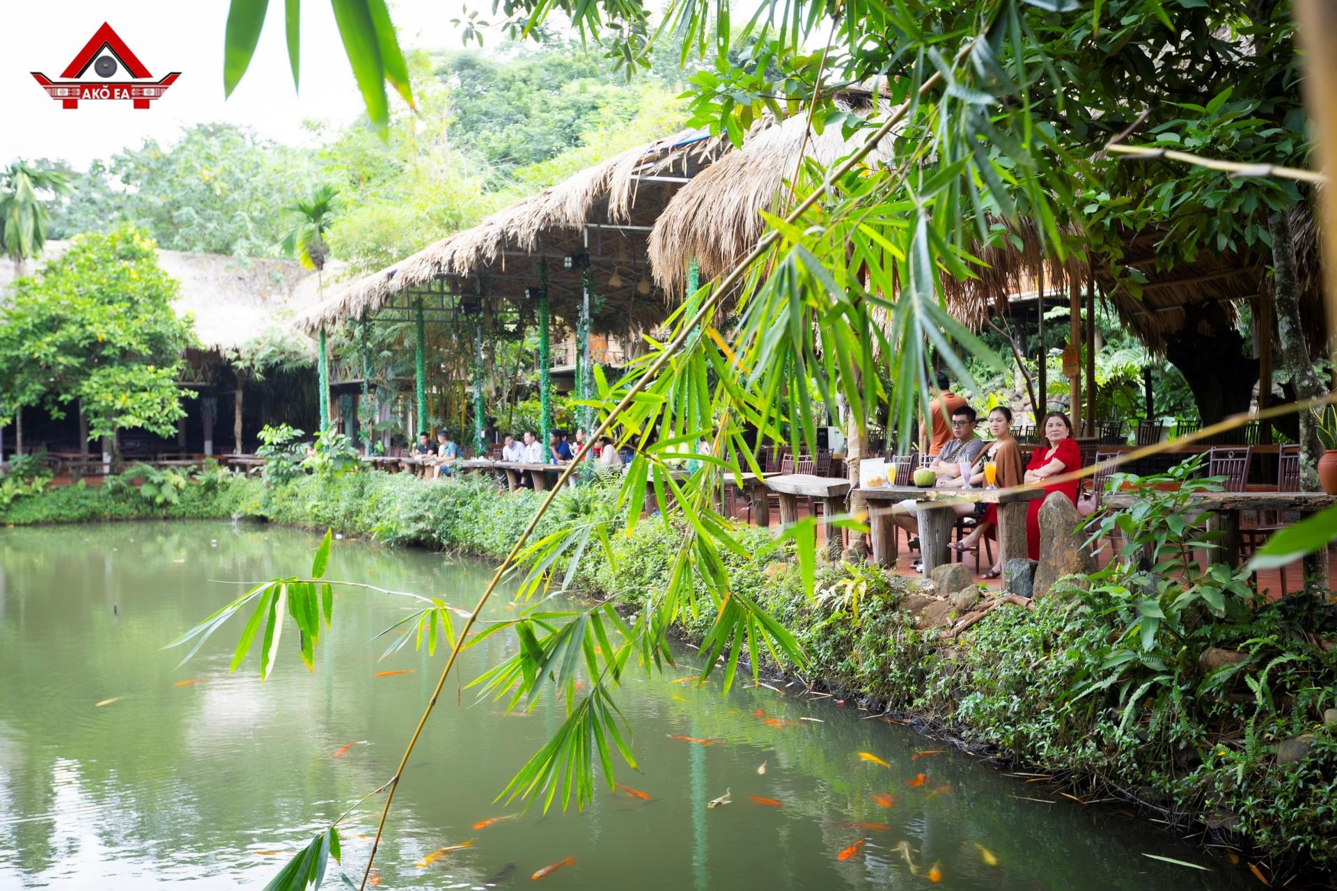 Nhơn PhanIMG 9737