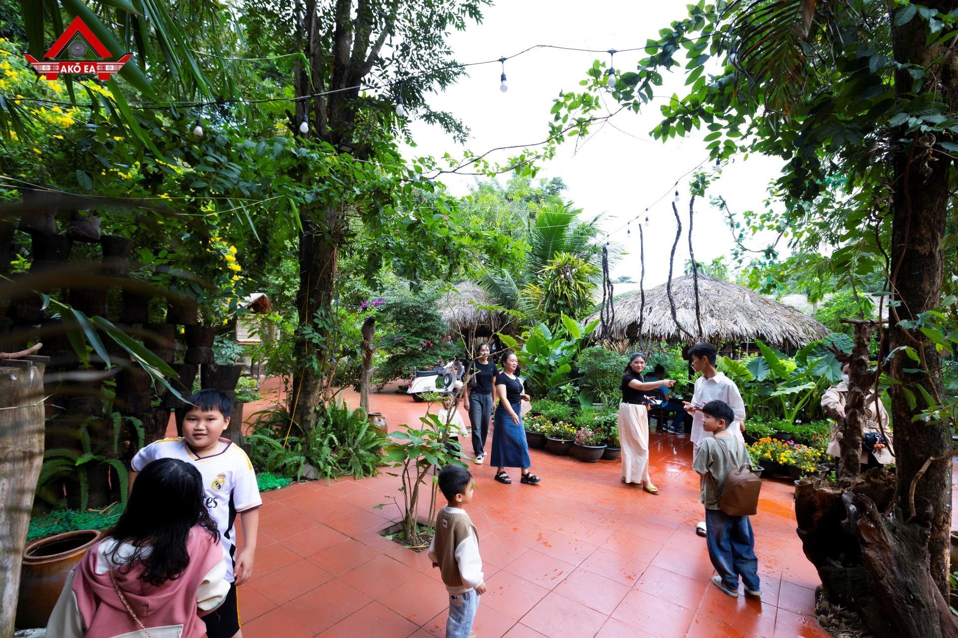 Nhơn PhanIMG 9745