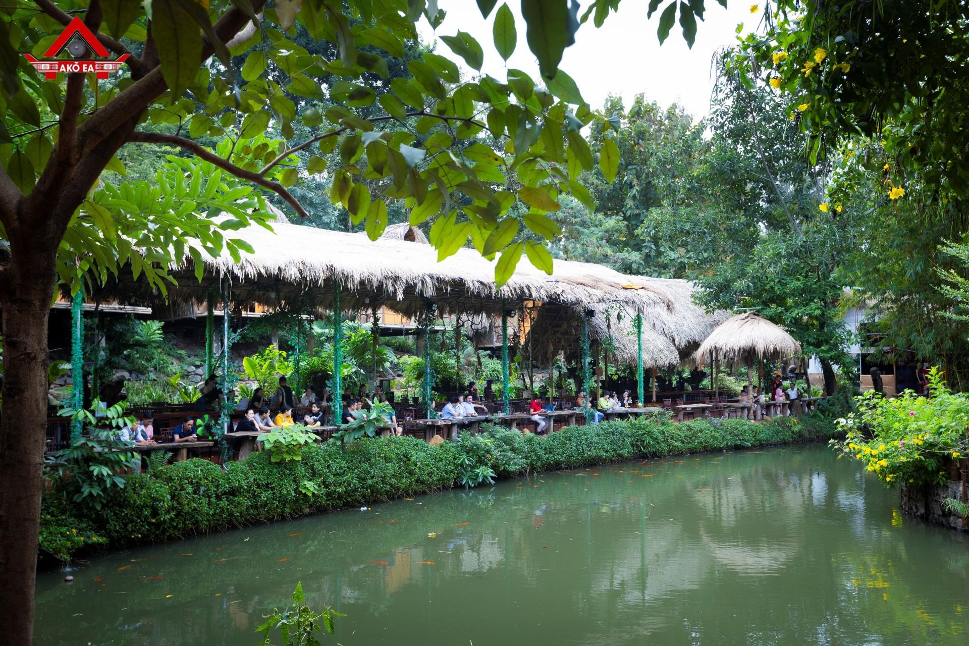 Nhơn PhanIMG 9754