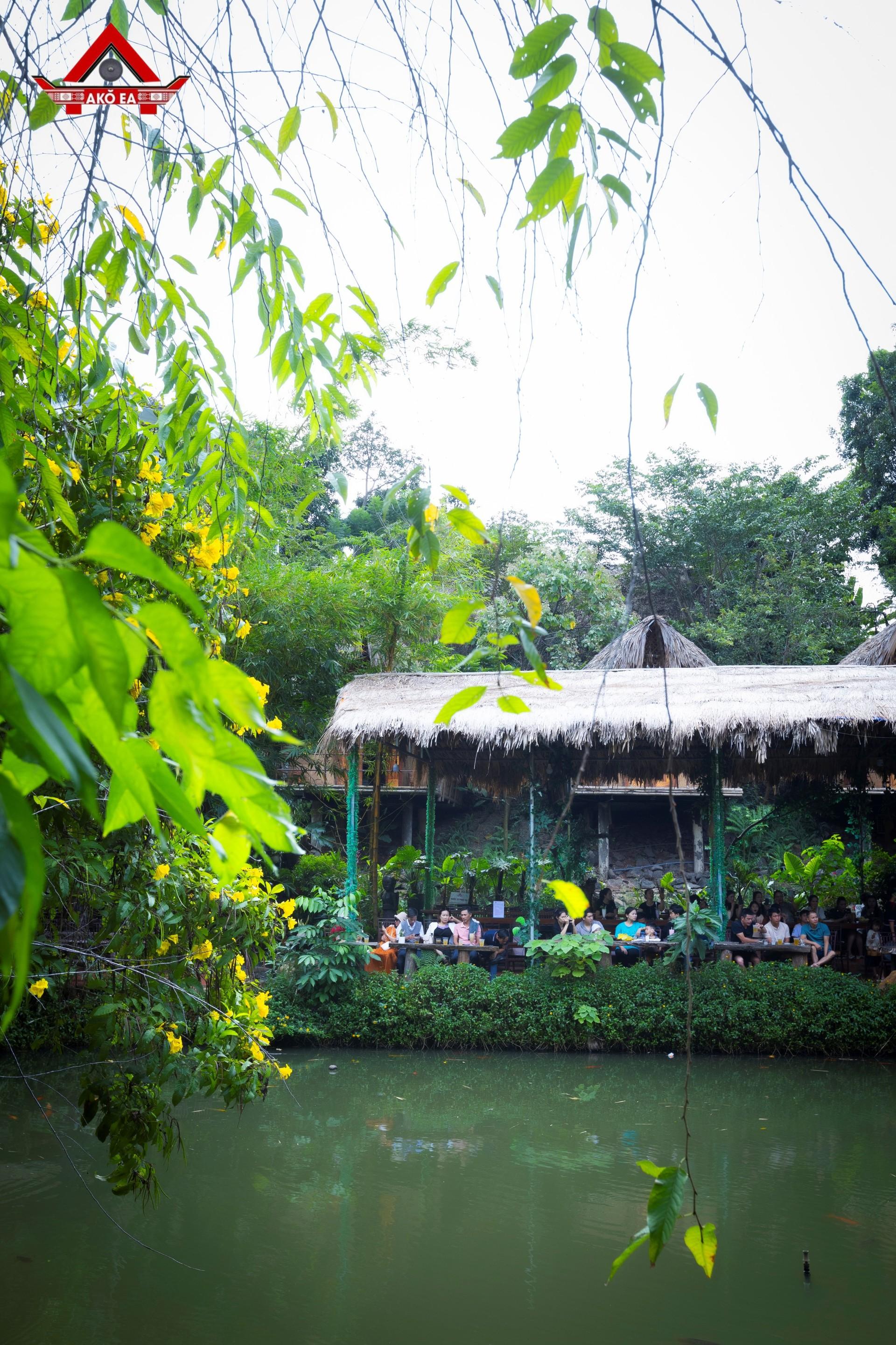 Nhơn PhanIMG 9765