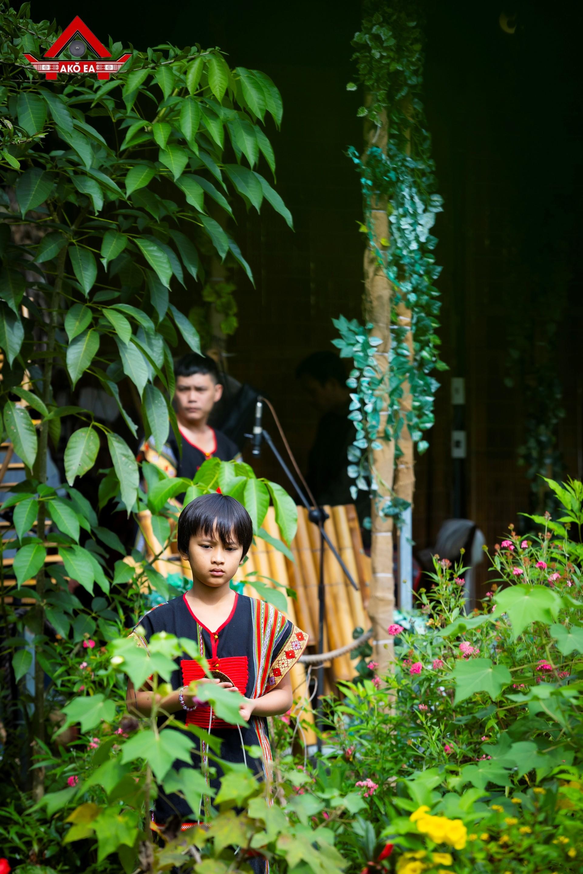 Nhơn PhanIMG 9787