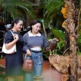 Nhon-PhanIMG_995724cdcd46b2c2d68b