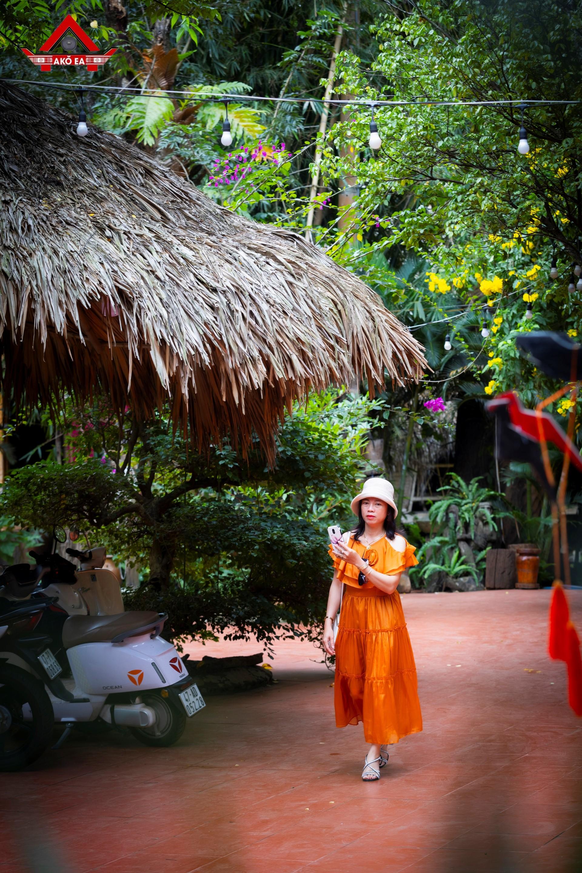 Nhơn PhanIMG 9964